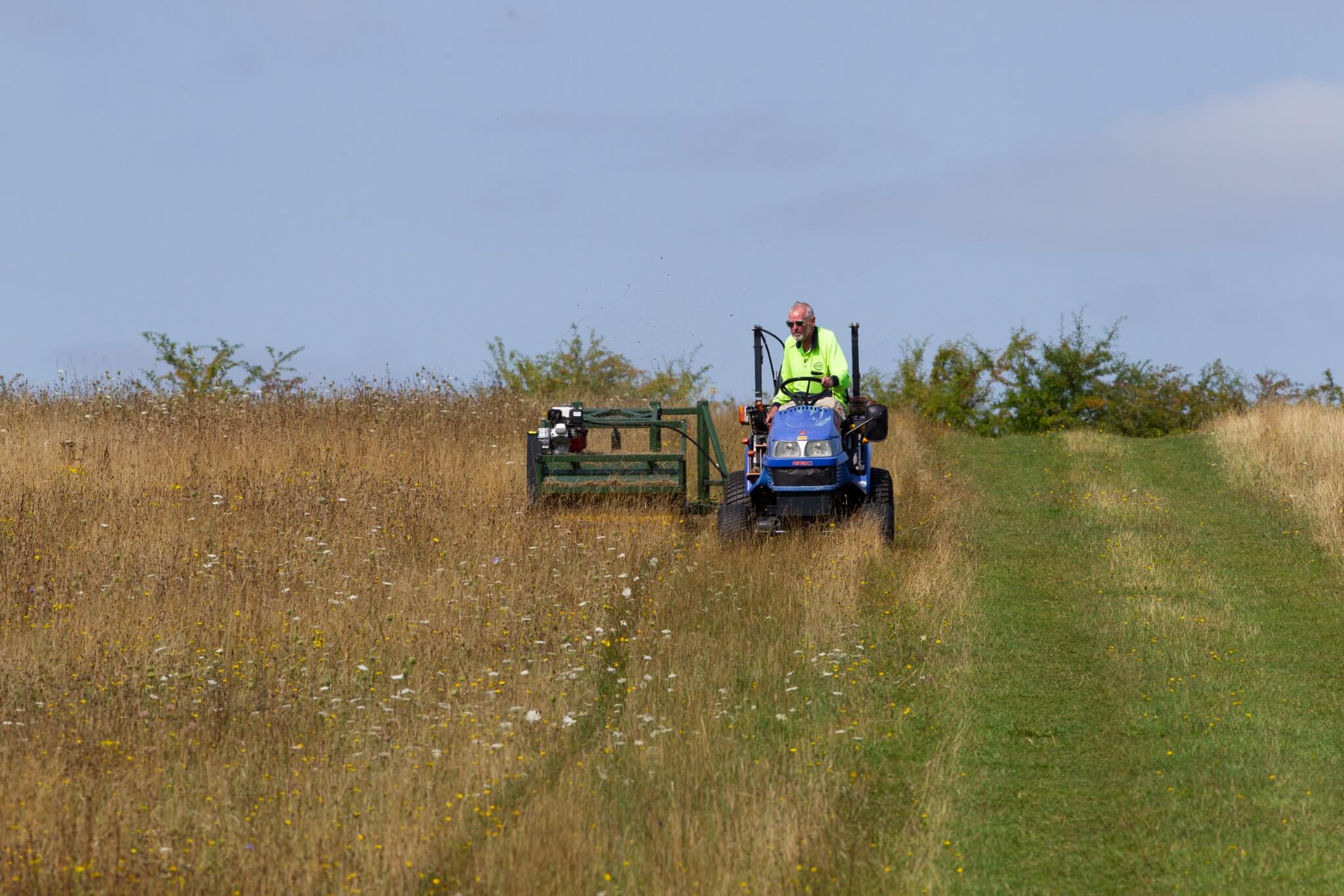 Brush harvesting
